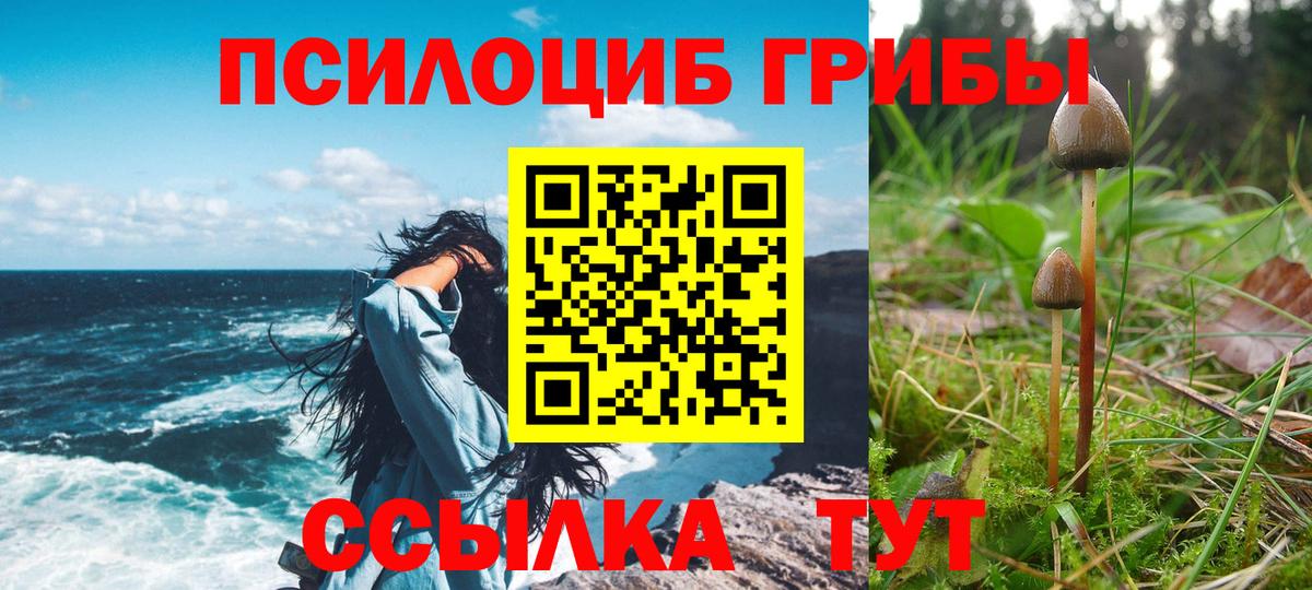 Альметьевск  Псилоцибиновые грибы мицелий  закладка  Вход с VPN 